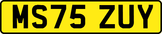 MS75ZUY