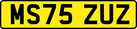 MS75ZUZ