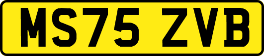 MS75ZVB