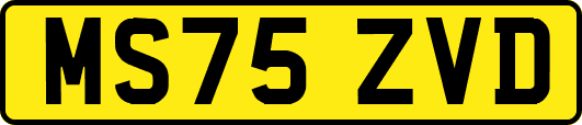 MS75ZVD