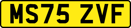 MS75ZVF
