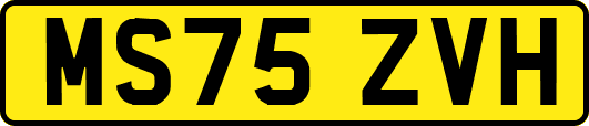 MS75ZVH