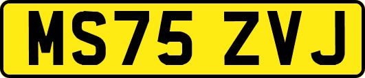 MS75ZVJ