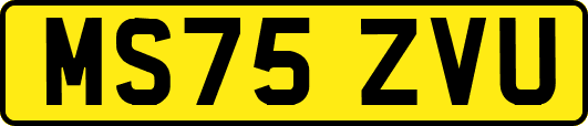 MS75ZVU