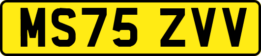 MS75ZVV