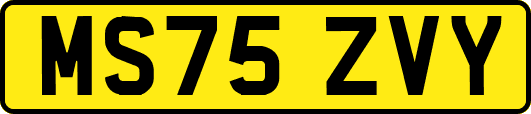 MS75ZVY