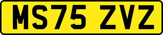 MS75ZVZ