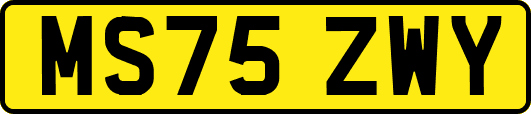 MS75ZWY