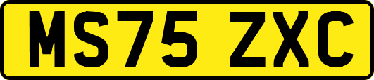 MS75ZXC