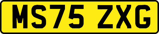 MS75ZXG