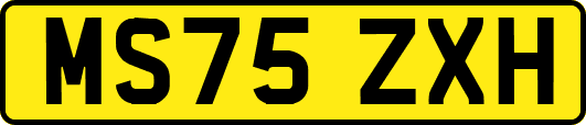 MS75ZXH