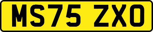 MS75ZXO