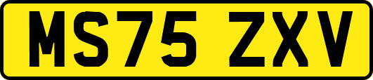 MS75ZXV