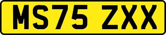 MS75ZXX