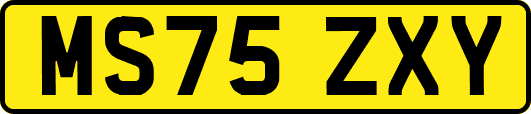 MS75ZXY
