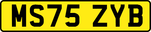 MS75ZYB