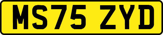 MS75ZYD
