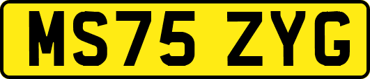MS75ZYG