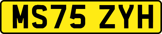 MS75ZYH
