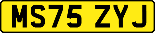 MS75ZYJ