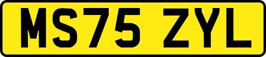 MS75ZYL