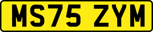 MS75ZYM