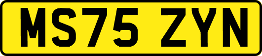 MS75ZYN