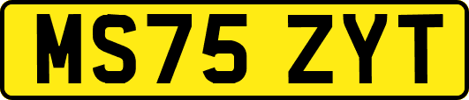 MS75ZYT