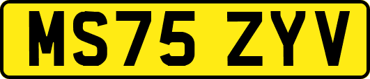 MS75ZYV