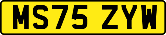 MS75ZYW