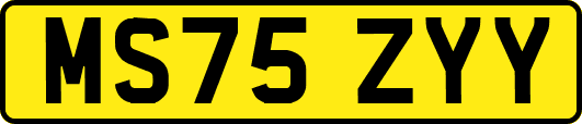 MS75ZYY