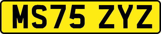 MS75ZYZ