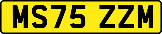 MS75ZZM