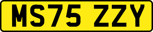 MS75ZZY