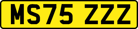 MS75ZZZ