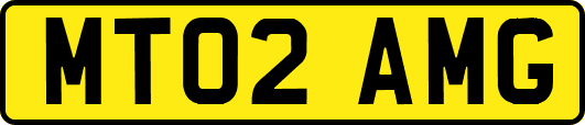 MT02AMG