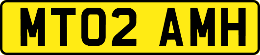 MT02AMH