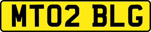 MT02BLG