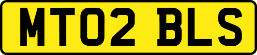 MT02BLS