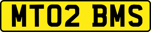 MT02BMS