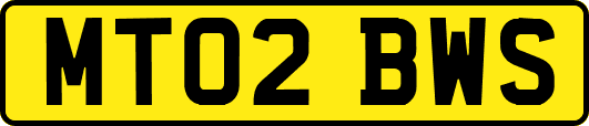 MT02BWS