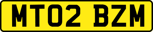 MT02BZM