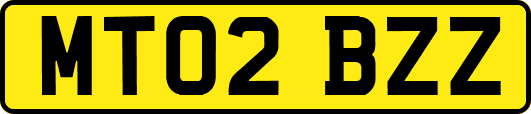 MT02BZZ
