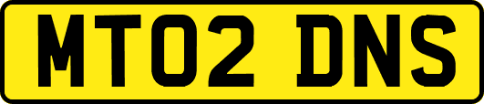 MT02DNS