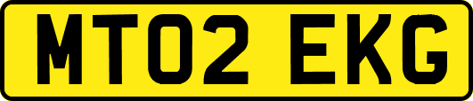 MT02EKG