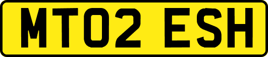 MT02ESH