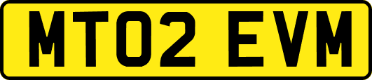 MT02EVM