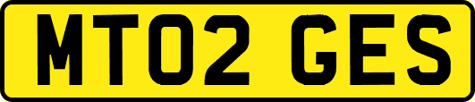 MT02GES