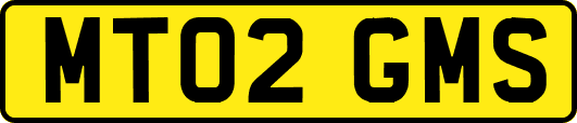 MT02GMS