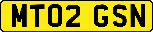 MT02GSN